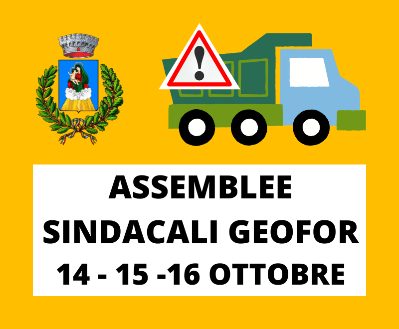 Geofor_Assemblee